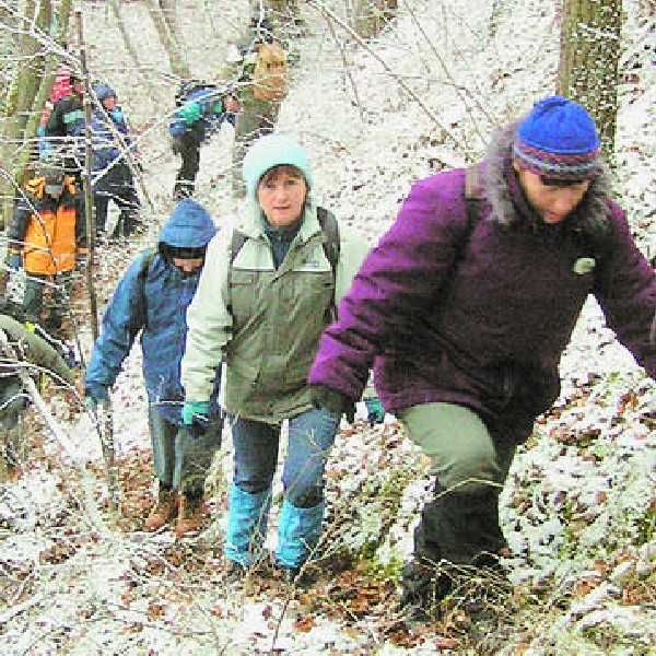 Szlak wiedzie odcinkami przez urwiste skarpy nad Brdą.