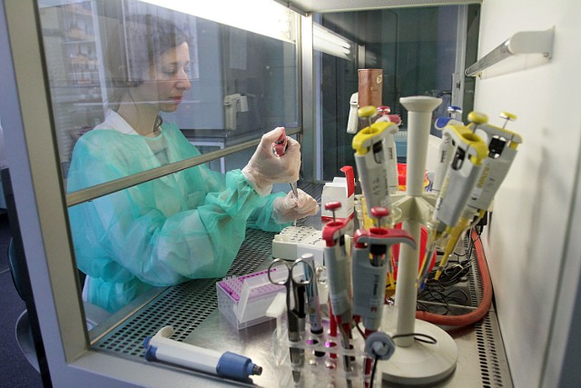 W Wojewódzkiej Stacji Sanitarno-Epidemiologicznej w Łodzi przy ul. Wodnej znajduje się laboratorium wirusologiczne, gdzie badane są próbki od pacjentów z całego regionu