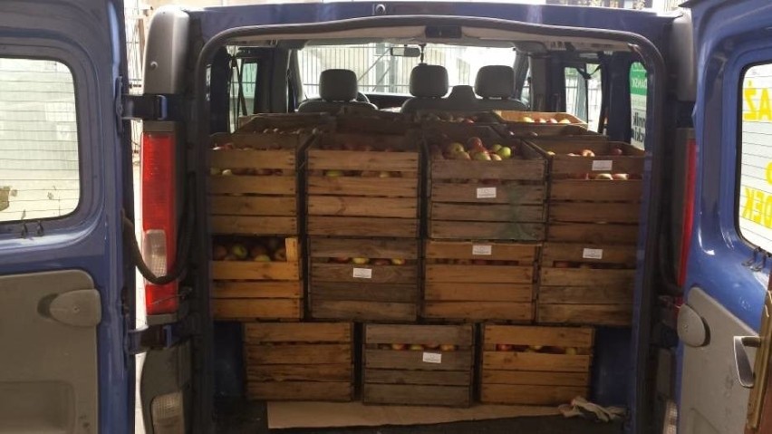 Fundacja "Pan Władek" dostarczyła 42 tony jabłek. Zbierają...