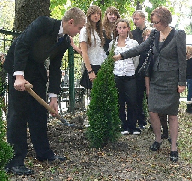 To jedno z siedmiu drzewek, jakie pierwszoklasiści - pod okiem wychowawczyni Małgorzaty Żebrowskiej - posadzili w środę w buskim "ekonomiku".