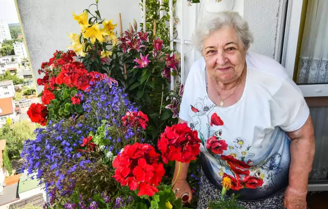 Pani Elżbieta Król o swój ukwiecony balkon troszczy się już od 45 lat.