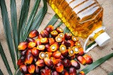 Czy olej palmowy jest zdrowy, czy szkodliwy? Dlaczego się go stosuje i jaka jest prawda o tym tłuszczu? Zobacz, jakiego warto unikać