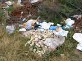 Poganica. Gigantyczna hałda śmieci jak bomba ekologiczna (zdjęcia)