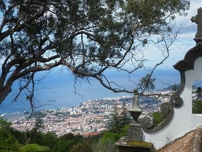 Widok Funchal z Monte