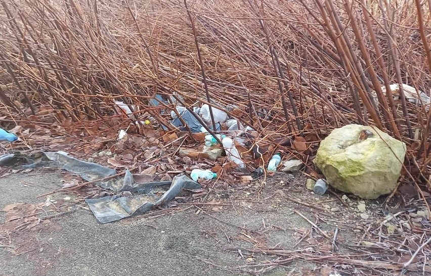 Śmieci w Koszalinie. Składowisko opon do uprzątnięcia [ZDJĘCIA]