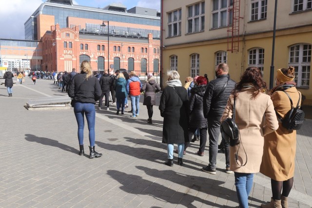 Kilkusetosobowa kolejka utworzyła się w sobotę 20 marca 2021 - od rana przed EC1 przy ul. Targowej. Takie tłumy przyciąga tu... festiwal roślin! Aby wejść do prawdziwego zielonego raju trzeba się naczekać, ale nikt nie wychodzi rozczarowany. Tysiące pięknych roślin doniczkowych w cenach od kilku do stu i więcej złotych są dosłownie rozchwytywane przez klientów! Każdy pakuje do koszyka co najmniej kilka gatunków różnych roślin. A jest w czym wybierać! Zobacz ZDJĘCIA na kolejnych slajdach >>>