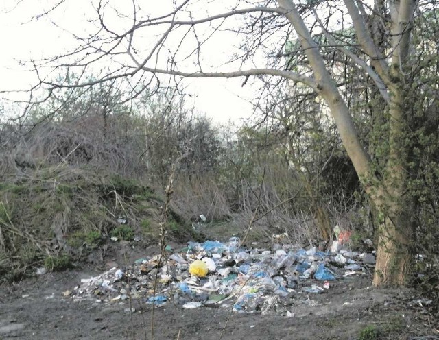 Jedno z wysypisk śmieci w rejonie pętli na Krowodrzy Górce
