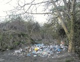 Bezradni radni? Problem wysypisk śmieci na Krowodrzy Górce wciąż nierozwiązany