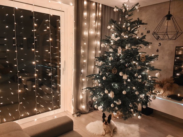 Zobaczcie piękne choinki Opolan na święta Bożego Narodzenia 2020.
