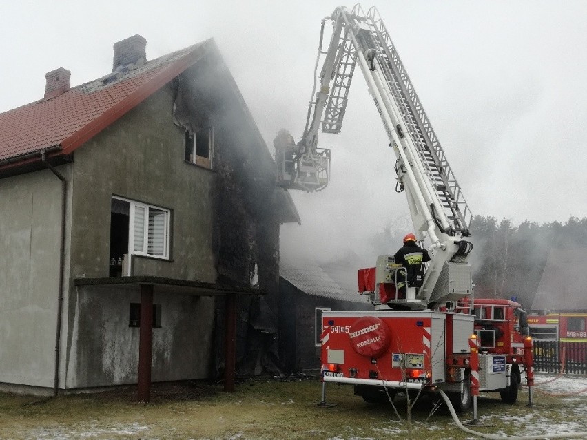 Pracowity dzień ostrowskich strażaków. Ugasili pożar dwóch domów, uratowali sarny