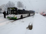 Śnieg na ulicach Szczecina. Problemy z kursowaniem komunikacji miejskiej