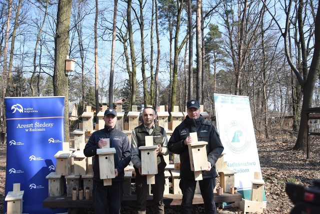 Nowe budki lęgowe dla ptaków zawisną na drzewach w Lesie Kapturskim w Radomiu.