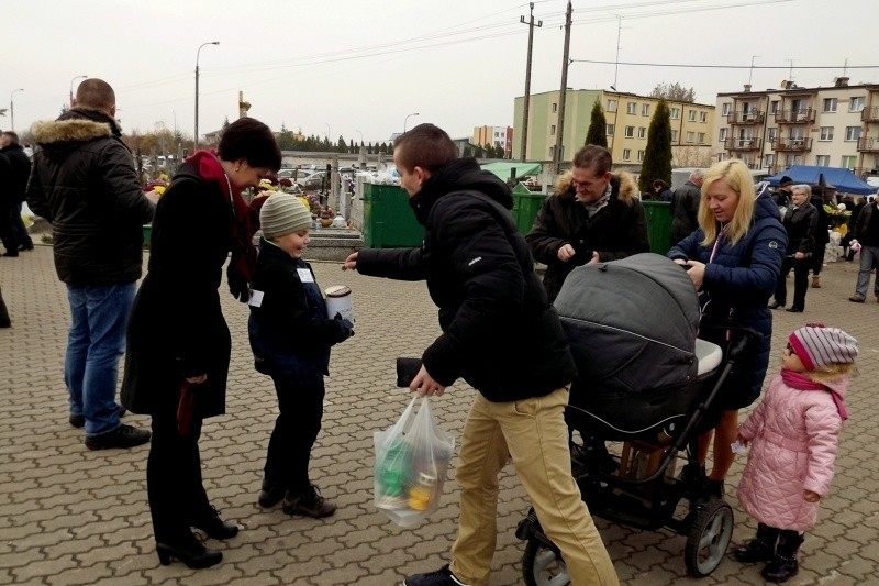 Kwesta na cmentarzu w Łapach (zdjęcia)