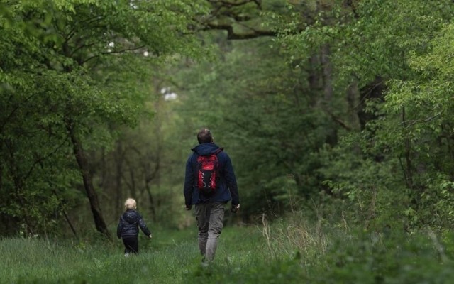 Z informacji Nadleśnictw Przytok wynika, że Las Nadodrzański jest jednym z ostatnich tak dużych i starych kompleksów w okolicy. Liczy prawie 1200 hektarów.