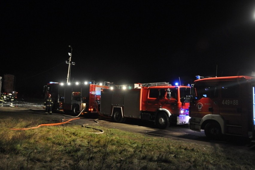 Pożar kurnika w Kiełpinie. 13 zastępów ratunkowych walczyło z ogniem [ZDJĘCIA]