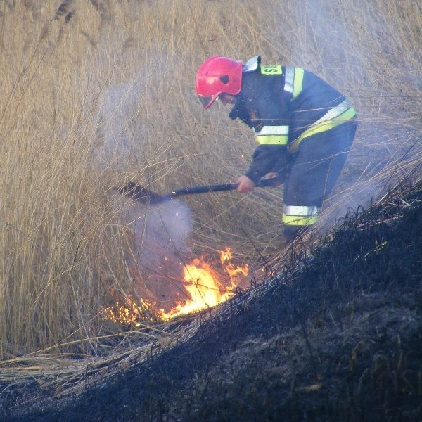 Akcja gaszenia pożaru