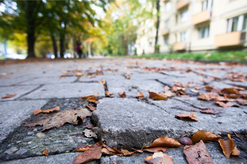 Chodniki antysmogowe. Czy powstaną również w Krakowie?