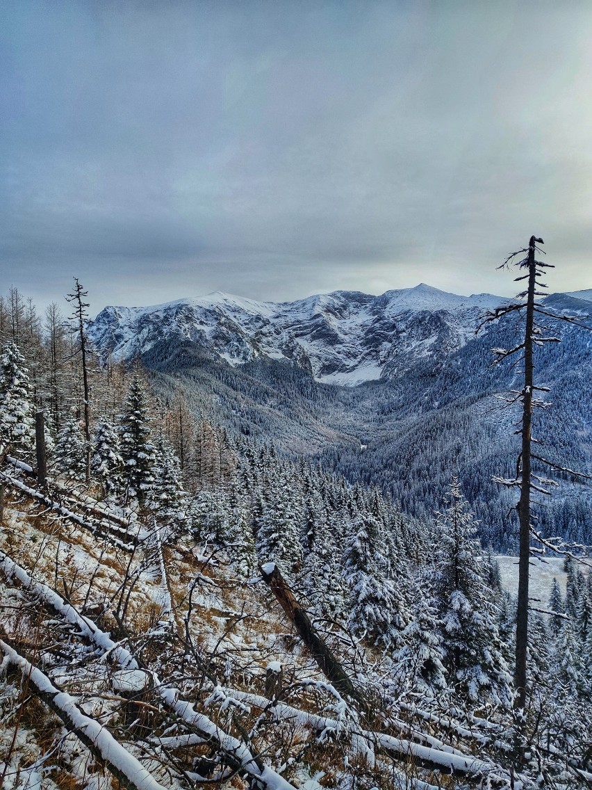 Tatry. Zima zagląda w góry. Tatry Zachodnie ośnieżone. Wyglądają niesamowicie