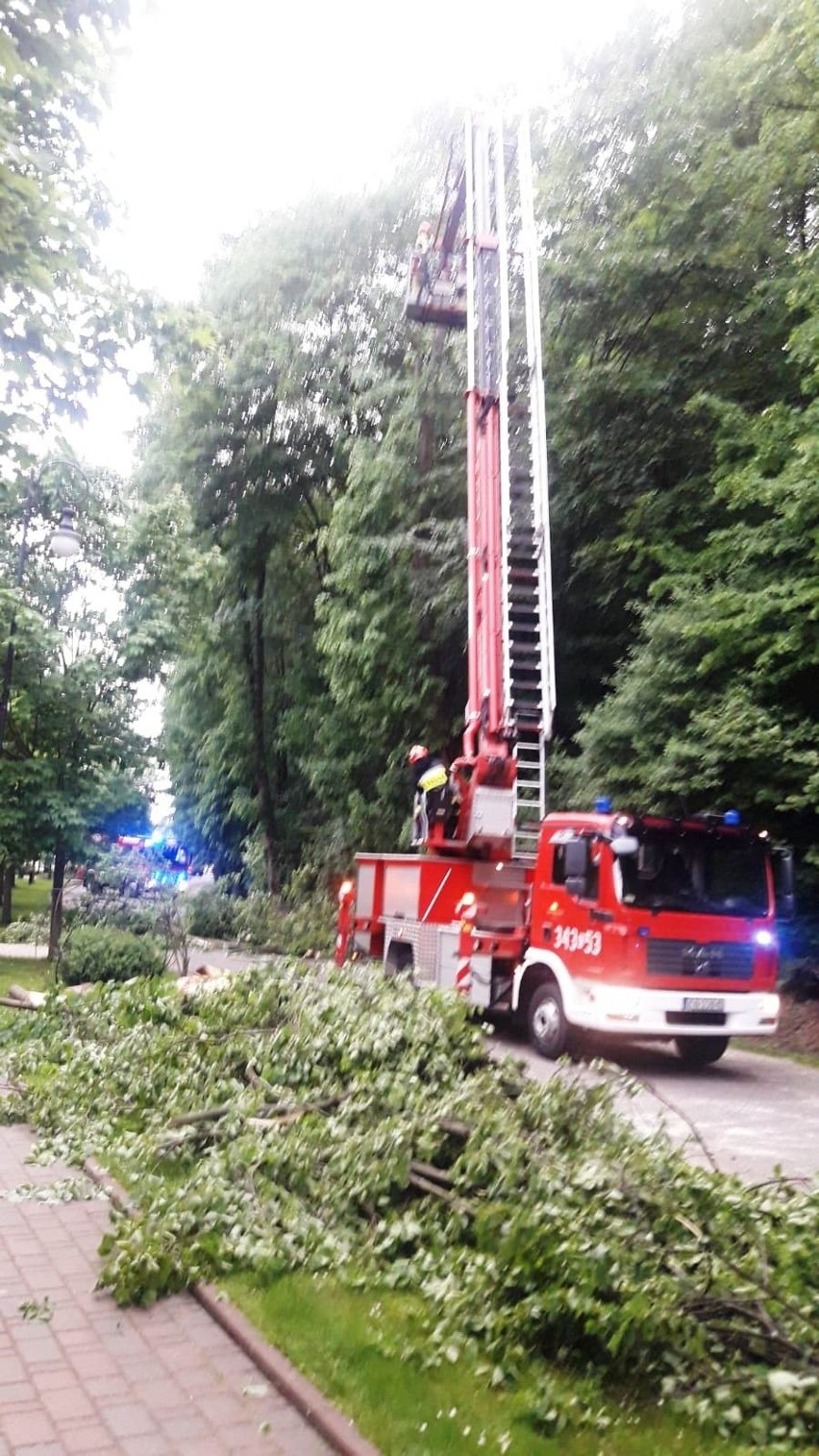 Muszyna. Obywatele Ukrainy uniknęli tragedii. Na ich auto runęło drzewo