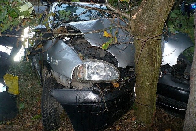 Koło Trzebiszewa osobowy opel rozbił się na przydrożnym drzewie.