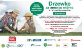Ostrów Mazowiecka. "Drzewko za surowce wtórne" - 10 kwietnia rozdamy 350 sadzonek drzew!