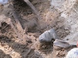 Archeolodzy znaleźli kolejne ludzkie szczątki na Brusie