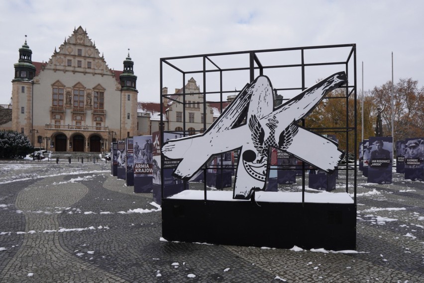 Na placu Adama Mickiewicza w Poznaniu powstała wystawa,...