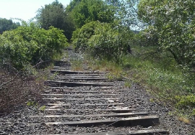 Dawna trasa kolejowa, przebiegająca w okolicach Gubina jest obecnie rozkradziona. Odbudowana najpewniej nie zostanie, ale może zostanie na niej wykonana ścieżka rowerowa?