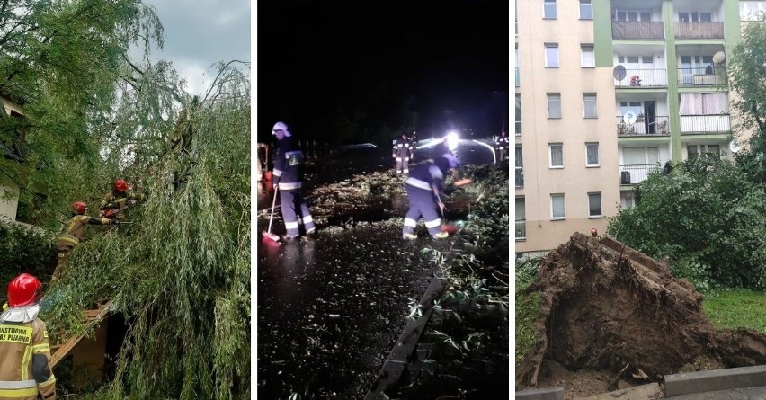 Podhale. Powalone drzewa, uszkodzone dachy. To była bardzo niespokojna noc pod Tatrami 