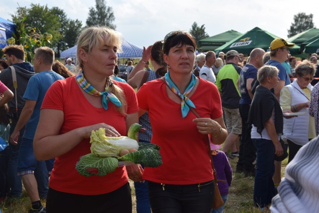 Panie z KGW Łąg-Kolonia i gmina Czerska będą organizatorami  festynu dożynkowego