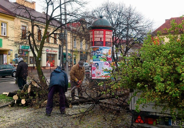 Pierwsze drzewa przy bocheńskim Rynku usunięto od strony ulicy Kazimierza Wielkiego