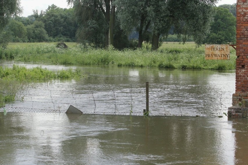 Wrocław: Woda zalewa Karczmę Rzym. Miasto nie pomaga (ZDJĘCIA)