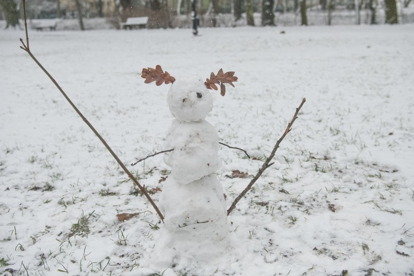 We wtorek, 12 stycznia w Poznaniu spadł śnieg. Po raz...