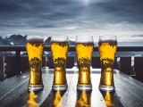 Czy codzienne picie piwa może być dobre dla zdrowia? Australijscy naukowcy mają już odpowiedź