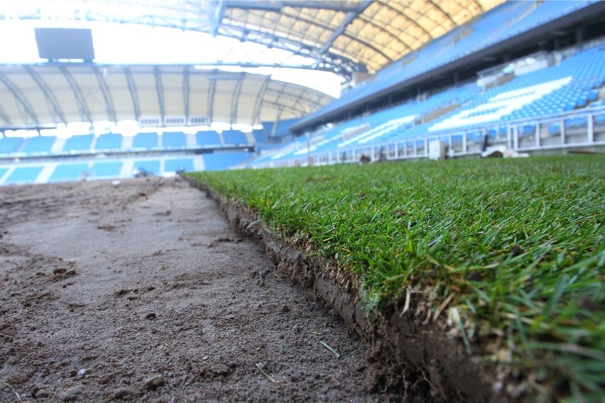 Pannon Turfgrass dostarczył nawierzchnię na obiekty w wielu...