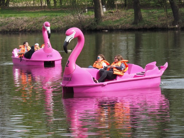 Na Młynku i Stawach Jana atrakcją są przejażdżki rowerami w kształcie flamingów w kolorze różowym.