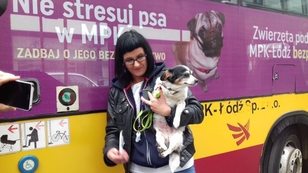 Łódź: Zachipują psa za darmo w parku treningowym dla psów przy ul. Pabianickiej