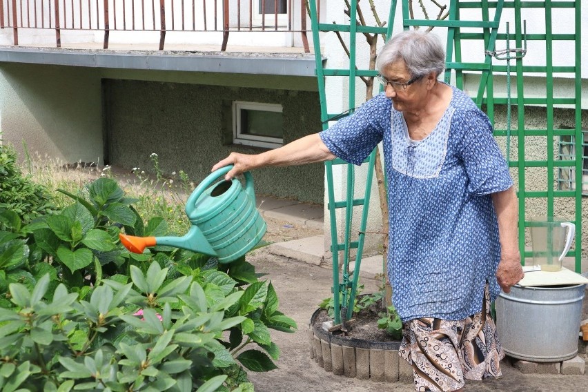 93-letnia mieszkanka Retkini urządziła przed blokiem niecodzienny ogródek. Zobacz, ile roślin nasadziła 