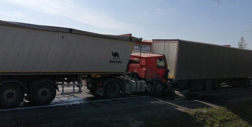 Zderzenie dwóch ciężarówek w Tarnobrzegu. Droga krajowa numer 9 była zablokowana [ZDJĘCIA]