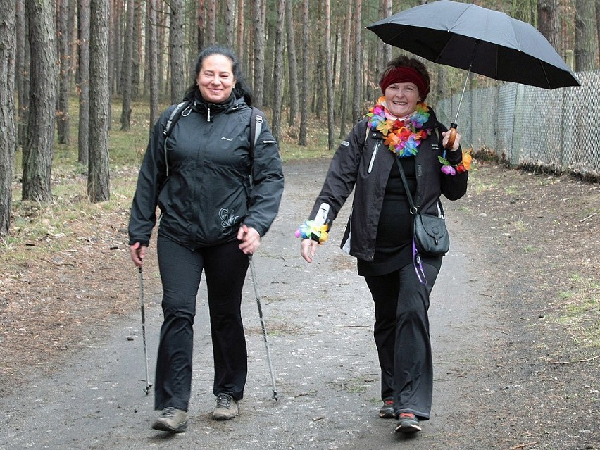 Pierwszy wiosenny rajd grudziądzkiego klubu nordic walking "Patyczaki" [zdjęcia]