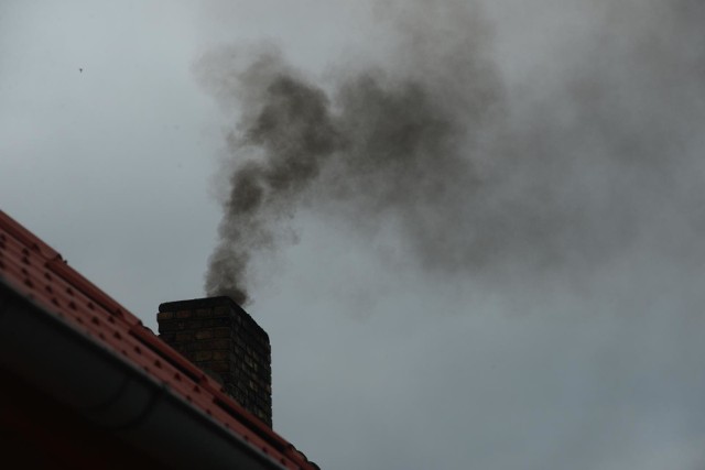 Smog w Poznaniu: Od 1 maja kary dla tych, którzy będą palić byle czym