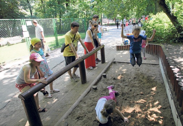 Dzieci mogą sprawdzić, czy potrafią skoczyć jak kangur