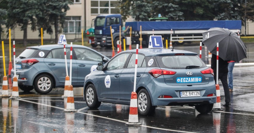 Czy masz prawo zatrzymać pojazd pod wiaduktem, gdy znaki...