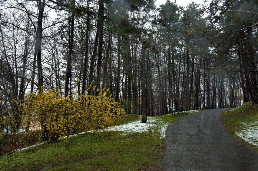 Park Bednarskiego zostanie ostatecznie zrewitalizowany o...