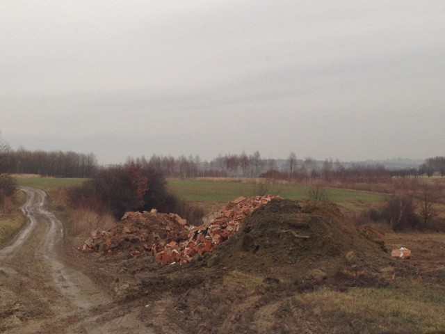 Ten gruz nielegalnie trafił na tereny parków jurajskich