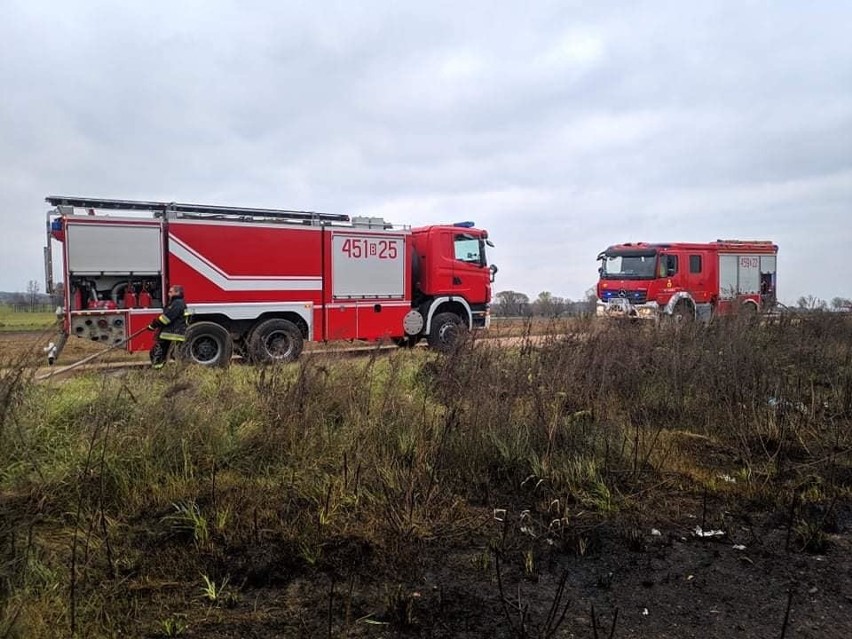 Guzy. Pożar dzikiego wysypiska śmieci. Spalił się hektar śmieci i krzaków [ZDJĘCIA]