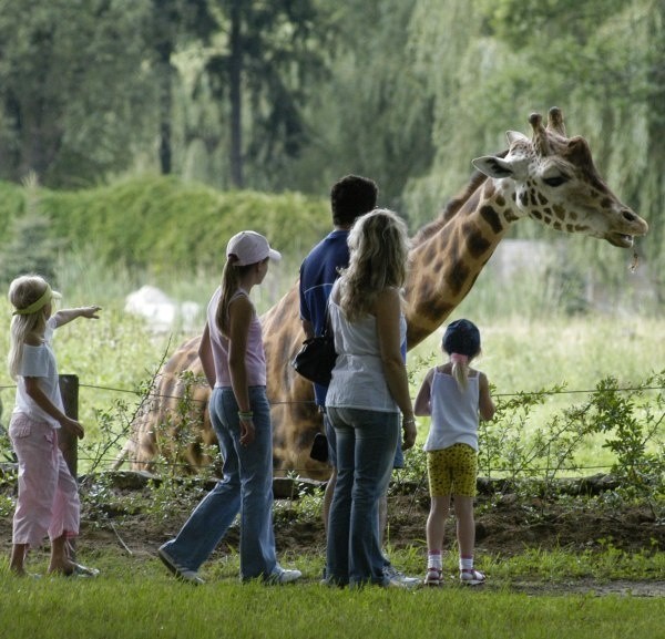 Wyprawa do zoo to duża frajda dla dzieci.