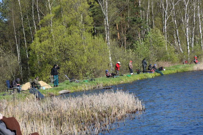 Zawody wędkarskie w Myszkowie. Złowili ponad 100 kg ryb ZDJĘCIA