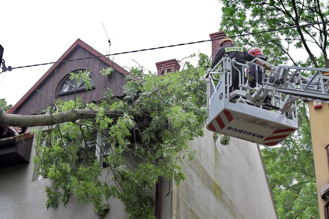 Przewrócone drzewo czy zerwany przez huragan dach nie należą do rzadkich przypadków