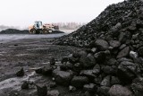 Nie ma już kłopotu w Szczecinie z kupnem węglem na zaświadczenie. Sprawdź, gdzie kupić tonę węgla za 2 tys. zł